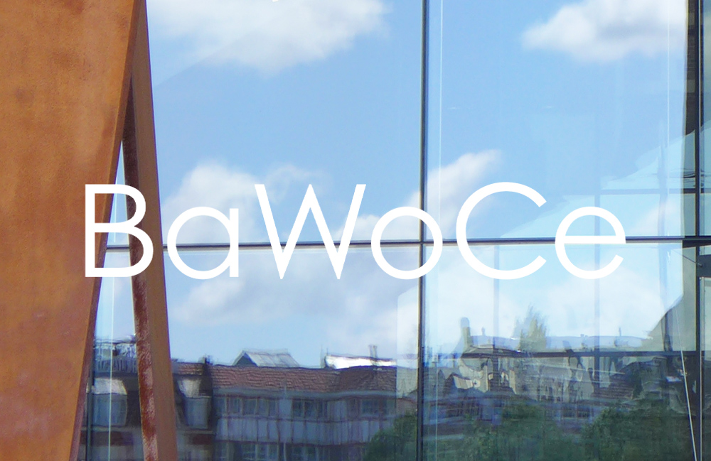 BaWoCe, Bad Wonder Ceramics